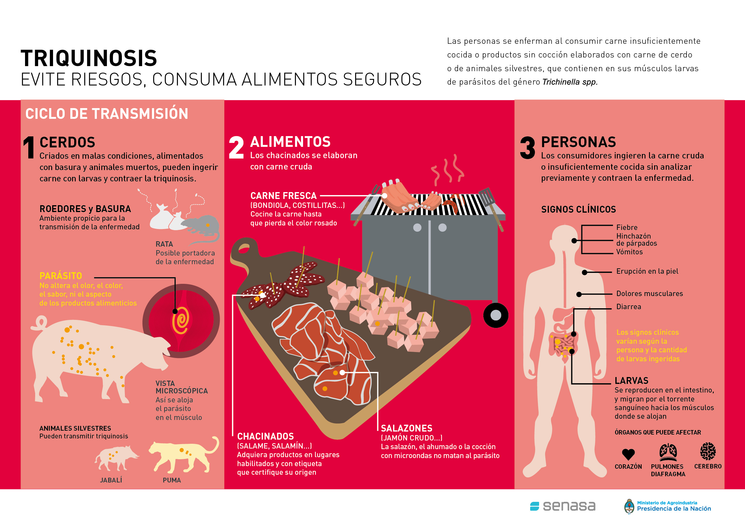 Porcinos menos chanchos - Fondo de Olla